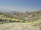 Full Size Image