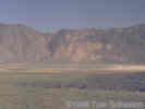 Full Size Image