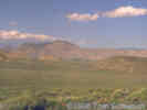Full Size Image