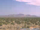Full Size Image