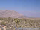 Full Size Image