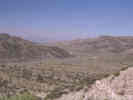 Full Size Image
