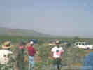 Full Size Image