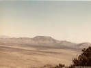 Full Size Image