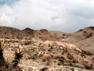 Full Size Image