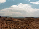 Full Size Image