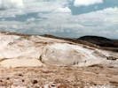 Full Size Image