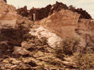 Full Size Image