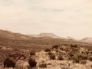 Full Size Image