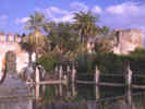Full Size Image