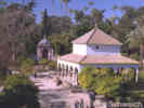 Full Size Image