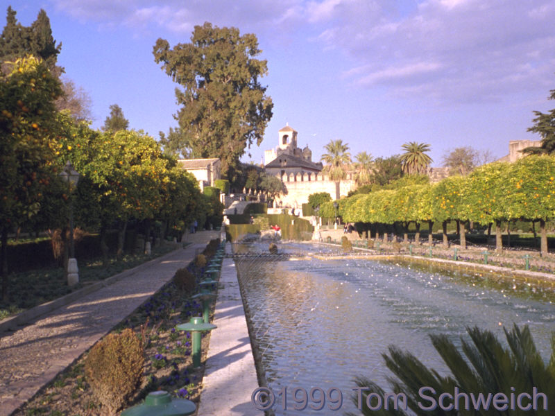 View of Alcazar.