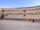Full Size Image