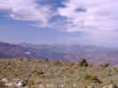 Full Size Image