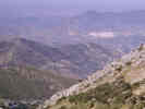 Full Size Image