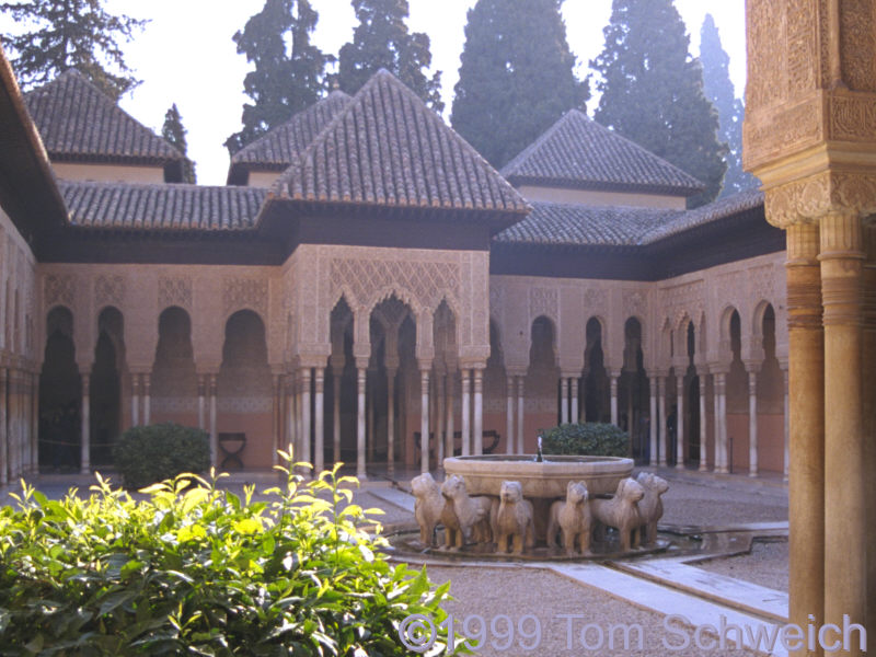 Court of the Lyons.