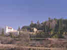 Full Size Image
