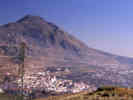 Full Size Image
