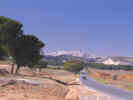 Full Size Image