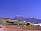 Full Size Image