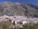 Full Size Image