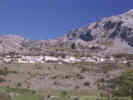 Full Size Image
