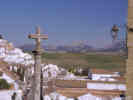 Full Size Image