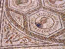 Full Size Image