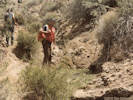 Full Size Image