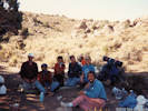 Full Size Image