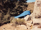 Full Size Image