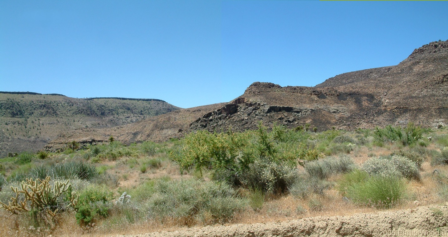 Hackberry Fire Complex, Wild Horse Canyon, Mojave National Preserve, San Bernardino County, California.