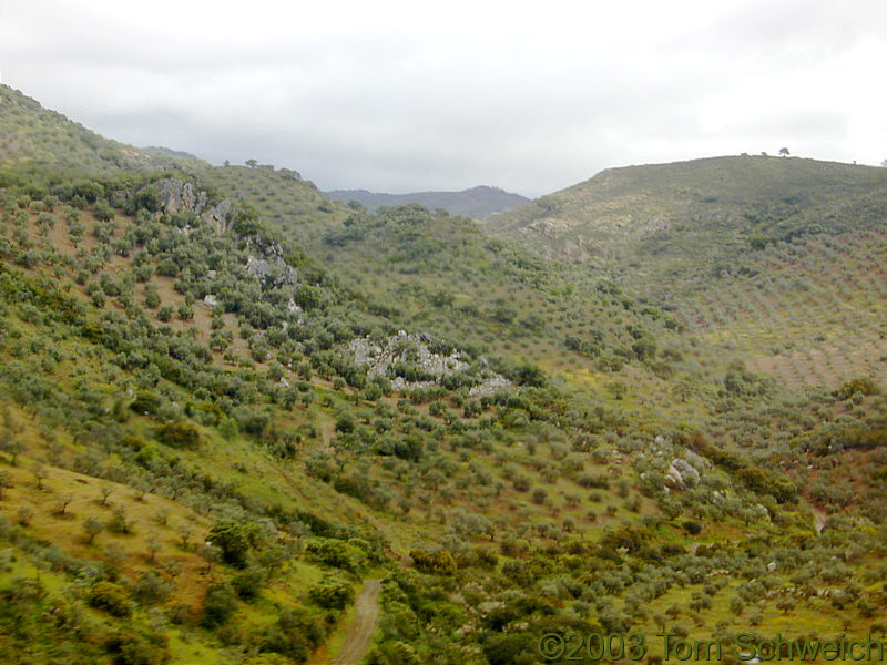 Spanish countryside in the foothills of the Sierra Morena.