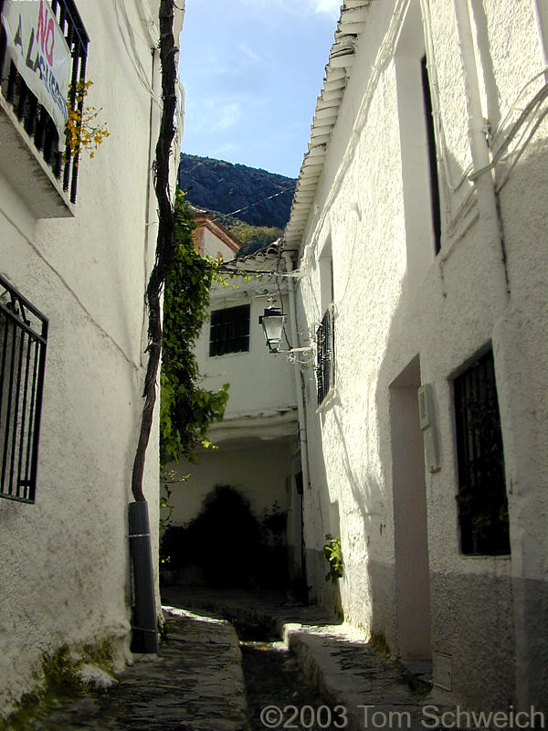 Small street in Pampaneira.