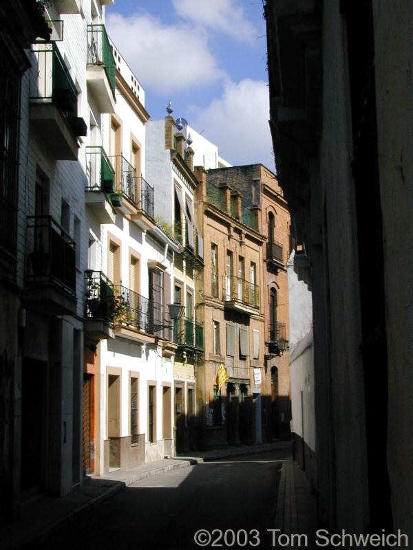 Small street near Puerto Osario