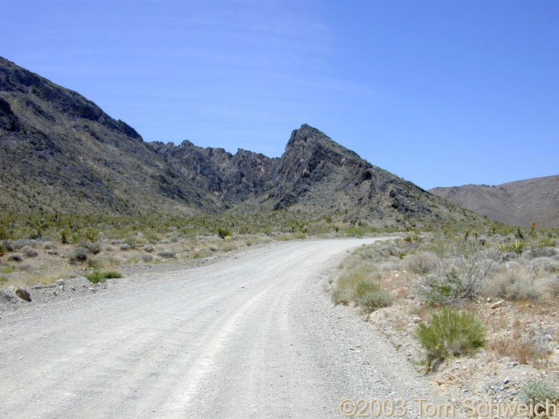 Kingston Road on the east side of the Mesquite Mountains.