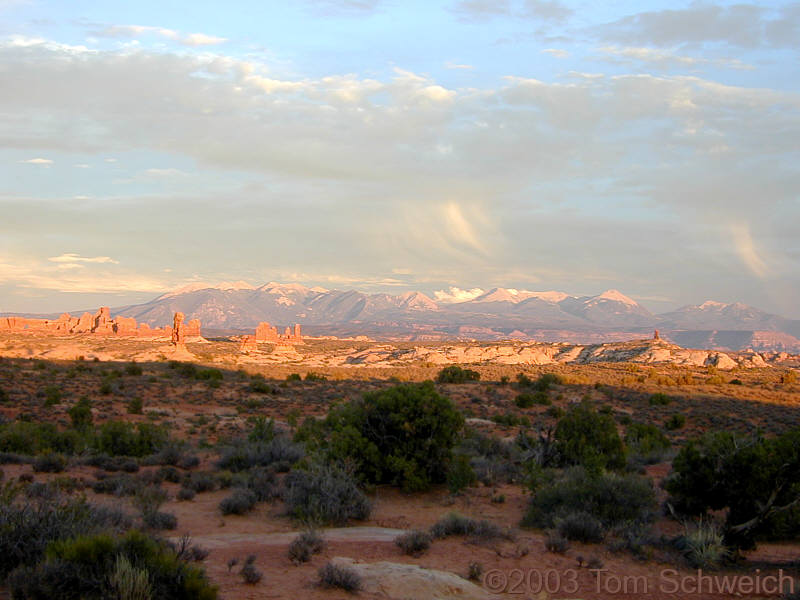 The La Sal Mountains in the late afternoon