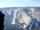 Full Size Image