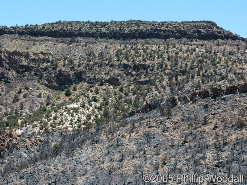 Wild Horse Mesa, Hackberry Fire Complex, Mojave National Preserve, San Bernardino County, California