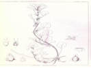 Full Size Image
