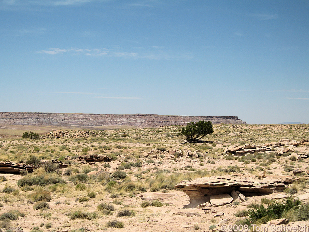 Arizona, Apache County, Petrified Forest National Park