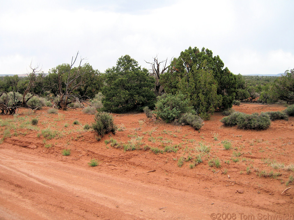 Utah, San Juan County, Squaw and Papoose Rock
