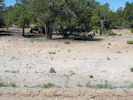 Full Size Image