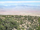 Full Size Image