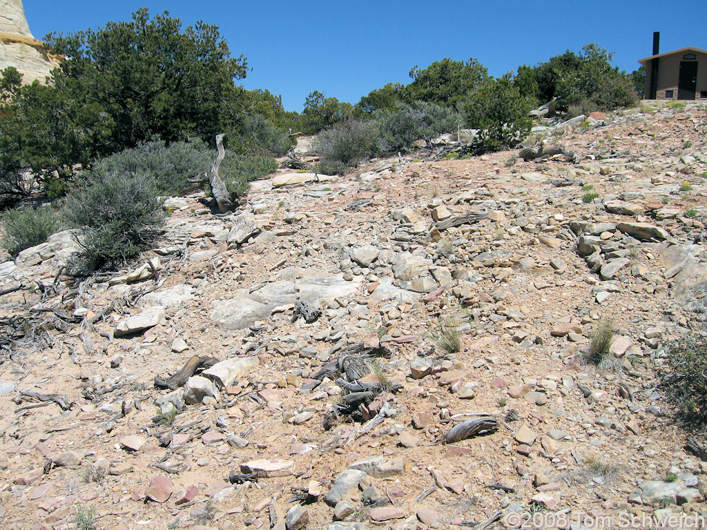 Emery County