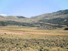 Full Size Image