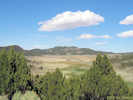 Full Size Image