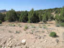 Full Size Image
