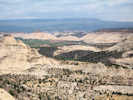 Full Size Image