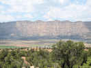 Full Size Image